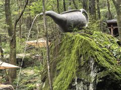 -牛背梁国家森林公园