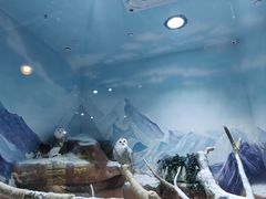 -海合安成都极地海洋公园