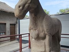 -西安碑林博物馆