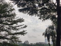 -海珠湖公园