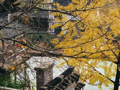 -塔川景区