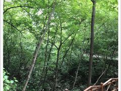 -青峰峡国家森林公园