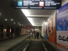 -中部国际机场