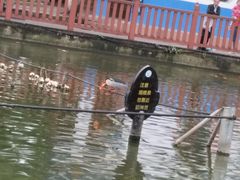 -北湖公园