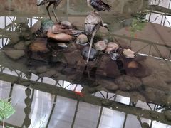 景观位-九尊食上(生态园林酒店)