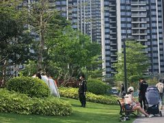 -光明小镇欢乐田园