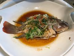 -东莞塘厦三正半山温泉酒店·沙利文西餐厅