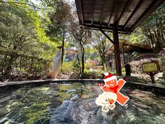 -明月山天沐温泉度假村