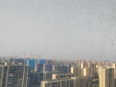 -上虞天玥大酒店