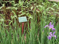 -广西壮族自治区药用植物园
