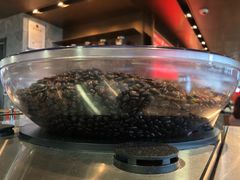 -星巴克(浦东机场T2到达店)