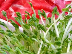 -大熊猫毛肚火锅(烟台万象汇店)