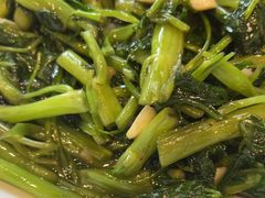-杨厨的田园饭店(长城路店)