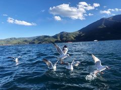 -丽江泸沽湖景区