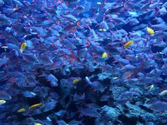 -成都浩海立方海洋公园