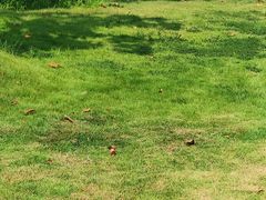 -向民炒鸡老店(火车站店)