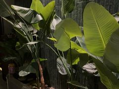 -涟LIAN·泰式按摩·MASSAGE·SPA(华强北店)