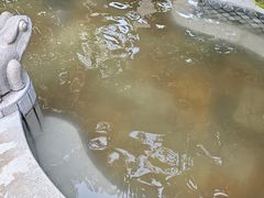 -碧水湾温泉