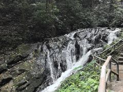 -莫里热带雨林景区