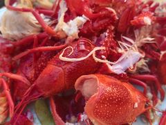 -小田油焖小龙虾(双井店)