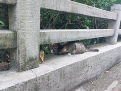 -广州市白云山风景名胜区