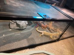 -酷嗒动物文化乐园(cutezoo西溪乐天城店)