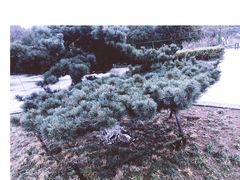 -呼吸森林·生态农庄农家乐私房菜