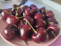 -上海龙吴水胜海发市场