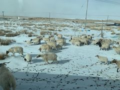 -青海湖国家重点风景名胜区