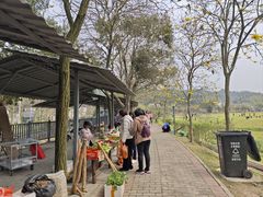 -红山村