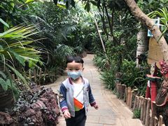 -呀路古热带植物园