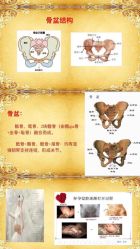 -兰派国际美容养生SPA