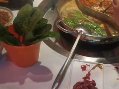 -潮牛岛·潮汕鲜切牛肉自助火锅(无锡首店)