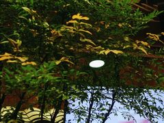 -茶理宜世(花城汇中区店)
