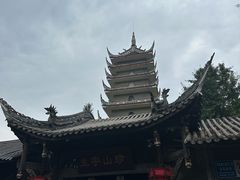 -生宇山珍野生菌汤锅•始于2002(双流古塔店)