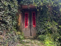 -杨家堂村