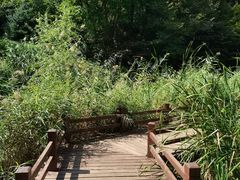 -大连植物园