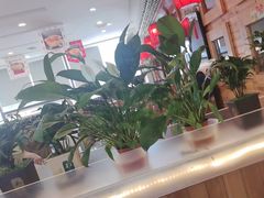 -大清花饺子(山庄店)