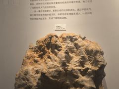 -重庆自然博物馆(新馆)