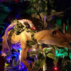 -恐龙探索乐园(磁器口店)