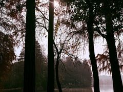 -东湖落雁景区