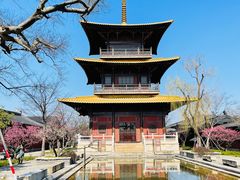 -广富林郊野公园