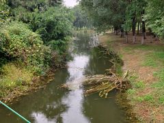 -长白岛森林公园