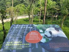 -中国大熊猫保护研究中心雅安碧峰峡基地