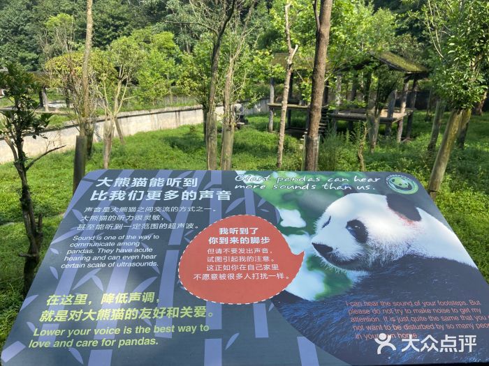 中国大熊猫保护研究中心雅安碧峰峡基地图片