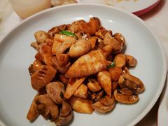 春笋烧口蘑-京华烟云·北京烤鸭(领展购物广场·中关村店)