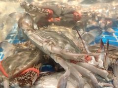 -闽海肴(北辰荟店)