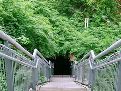 -顺峰山公园