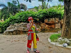 游乐设施-亚马逊丛林水乐园