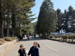 -四明山国家森林公园